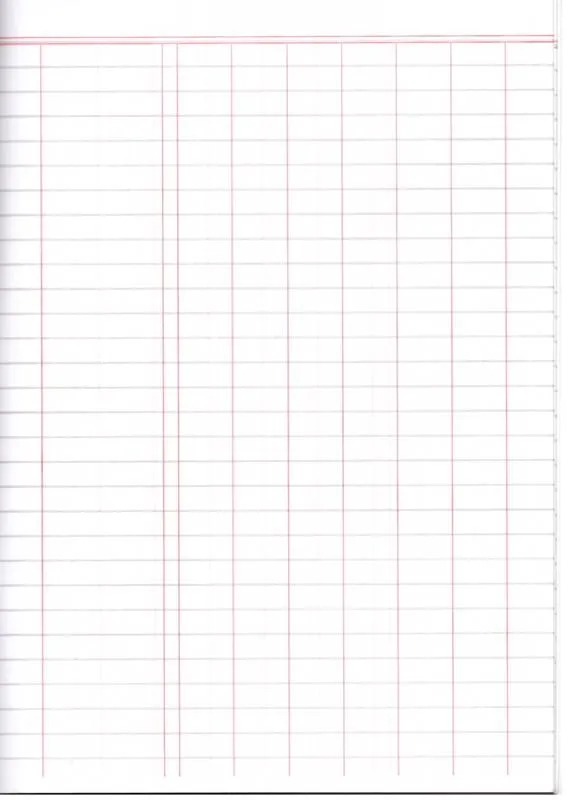 ■ Business Studies: Record Book 1: Analysis - 40 page