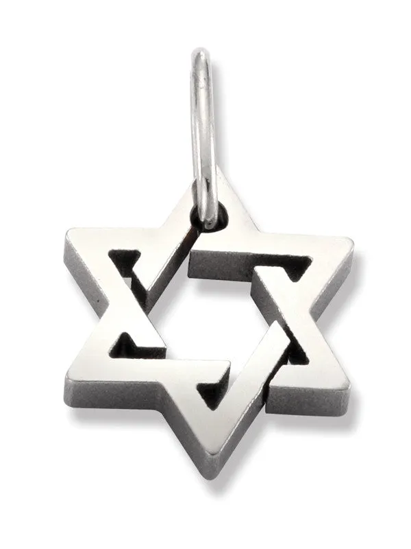 31394-01 TeNo Titanium Pendant - 1/4 inch in diameter- (choose chain separately)