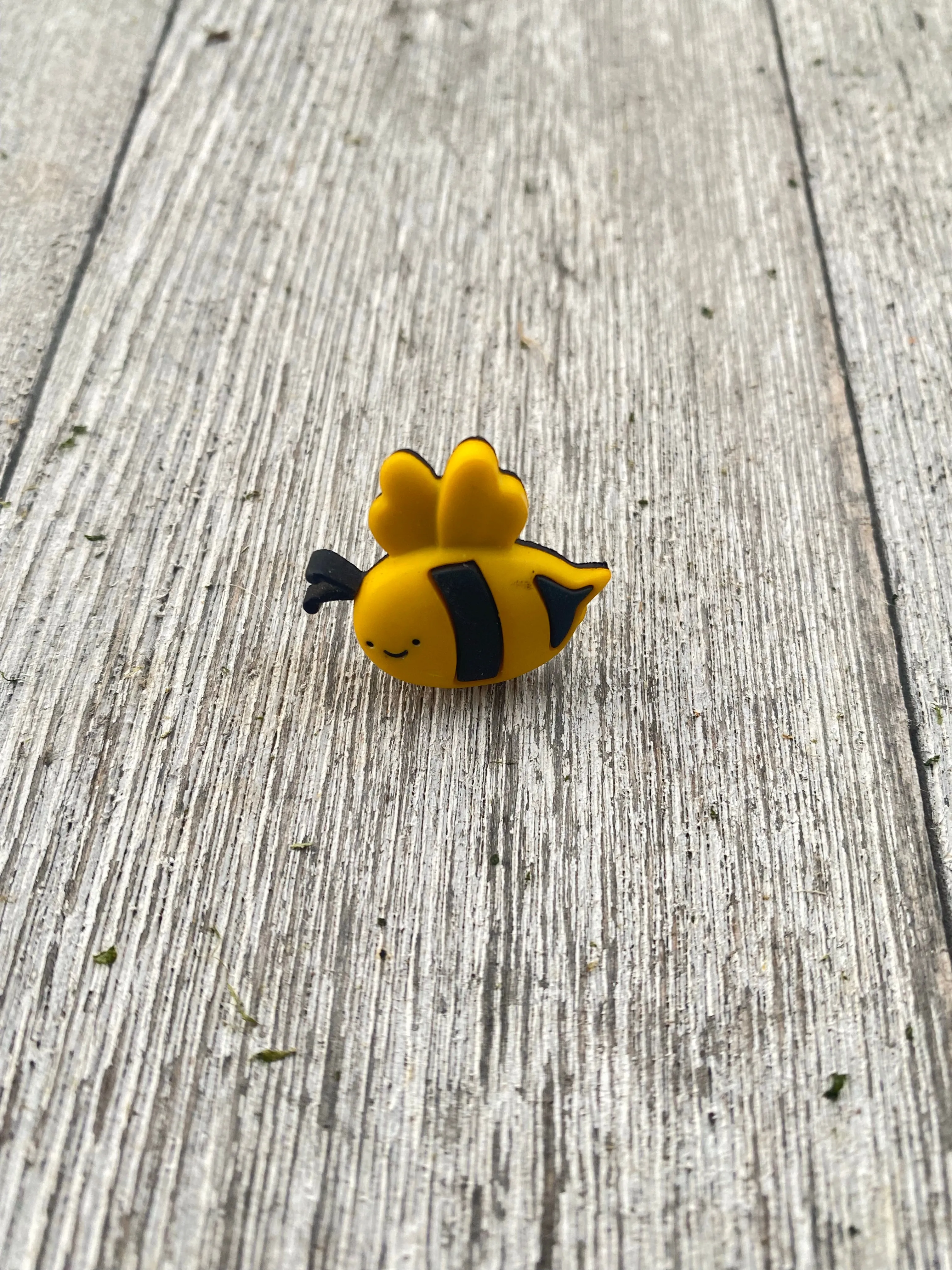 Bee Pin Gift