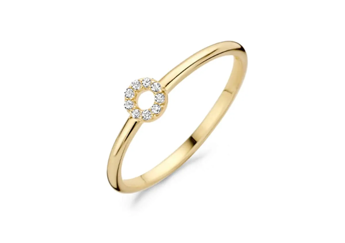 Blush - Bague Cercle - Or Jaune 14k et Zircons (1217YZI)