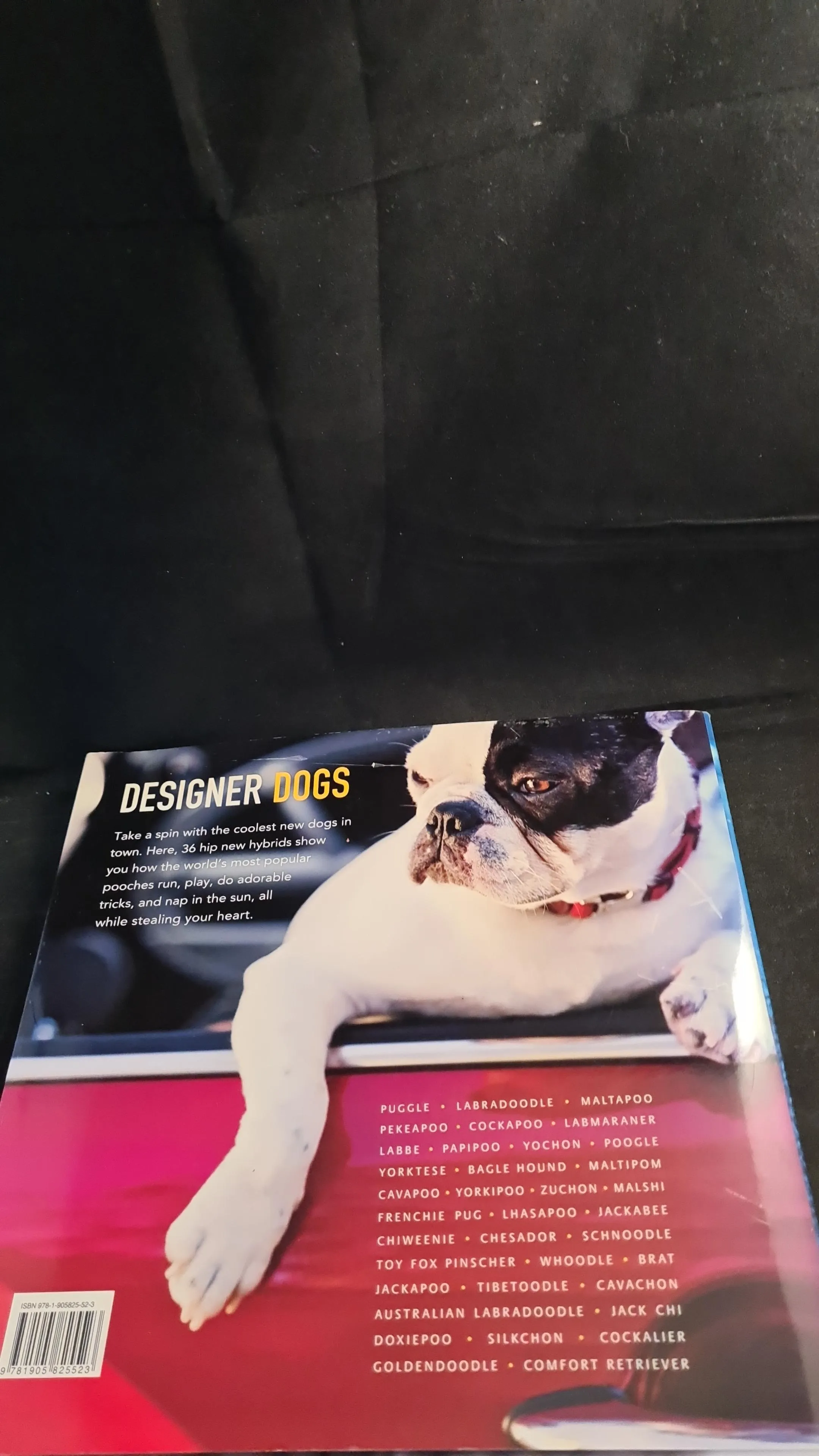 Caroline Coile - Designer Dogs, Bonnier Books, 2007