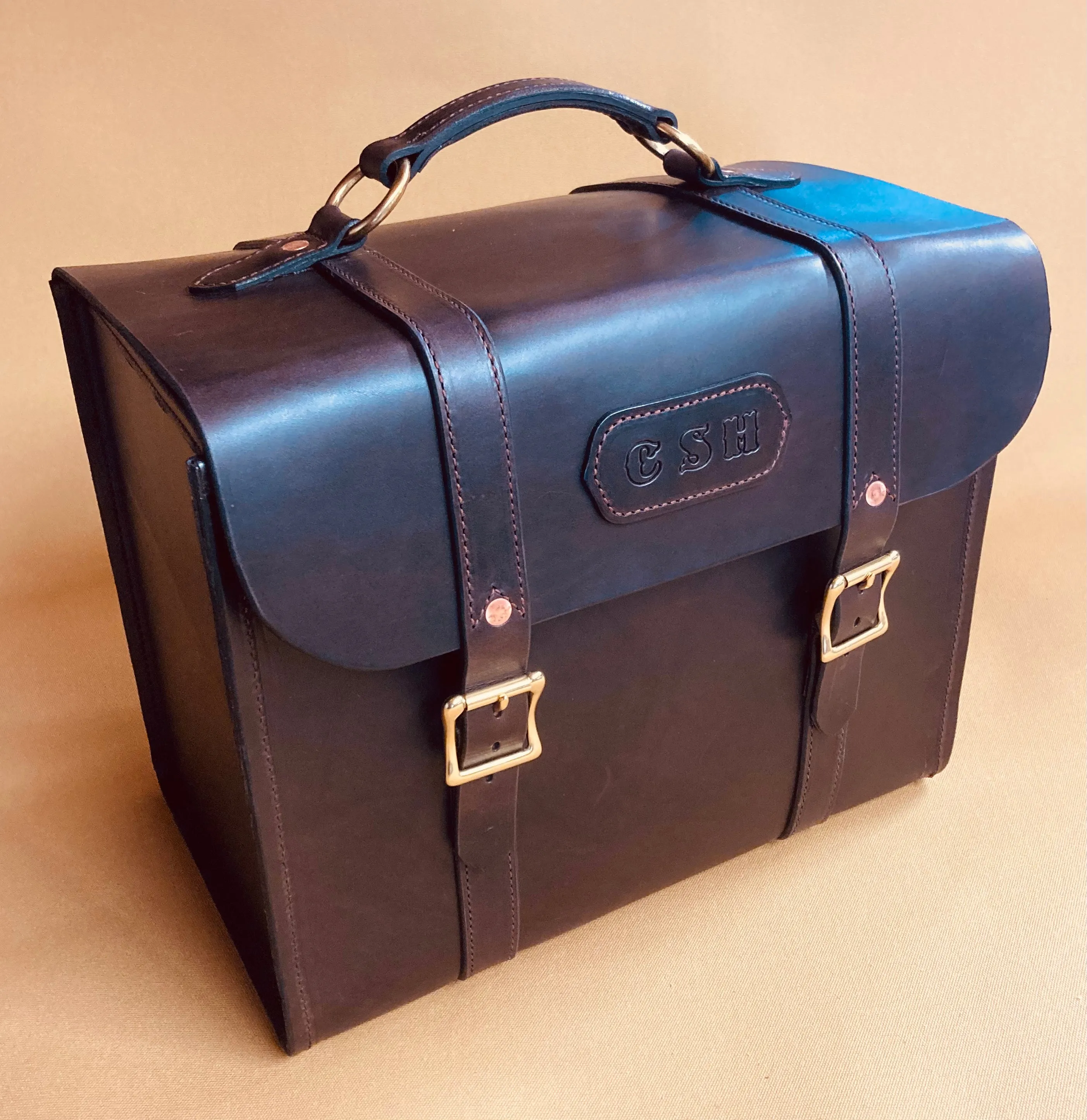 Carry All Case  (Large)