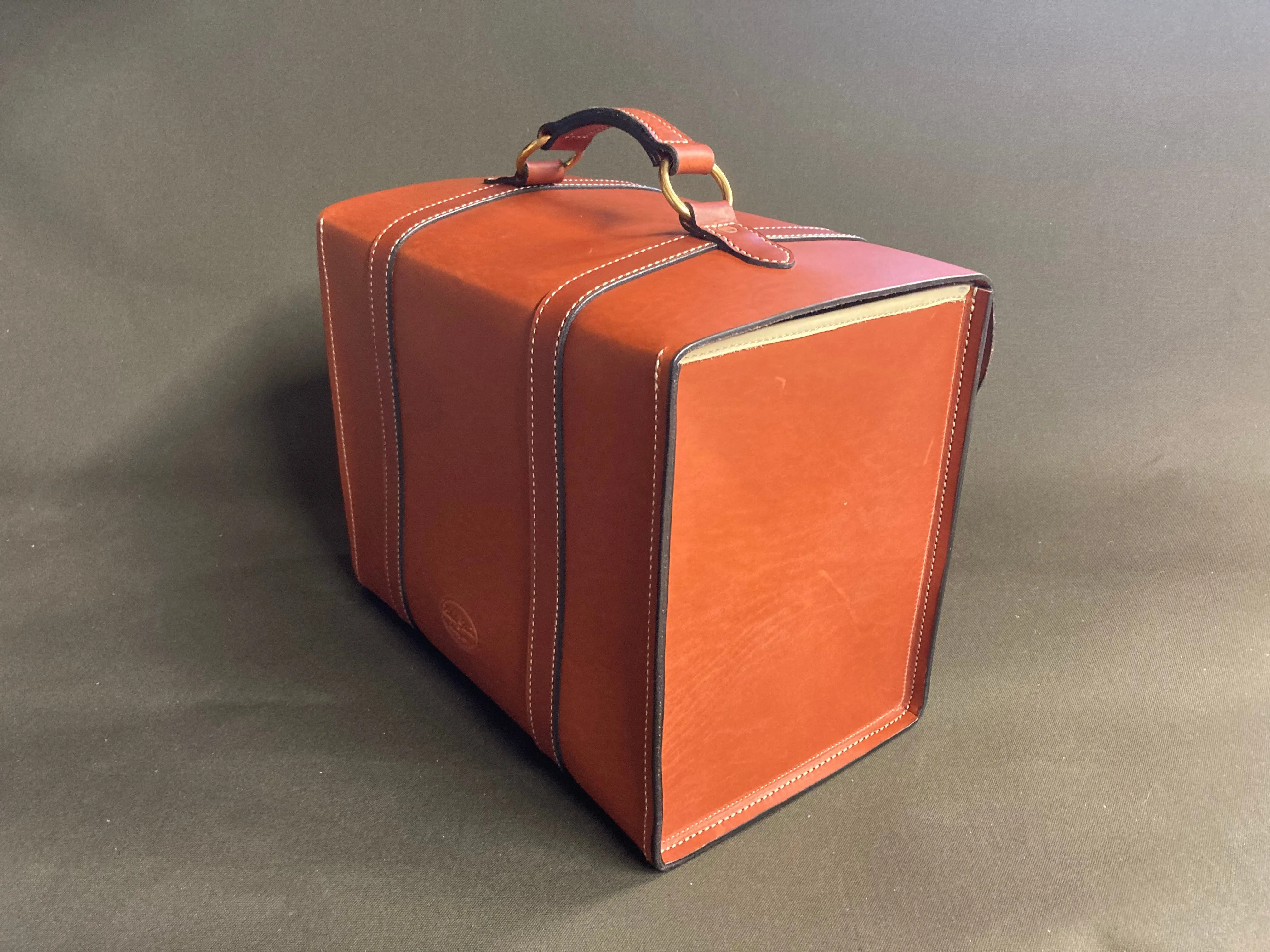 Carry All Case  (Large)