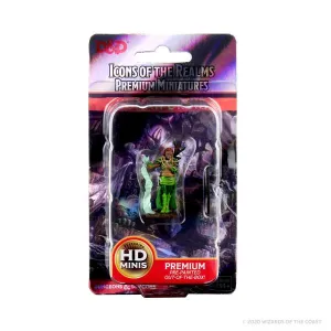 D&D Icons of the Realms Premium Figures: Human Female Druid