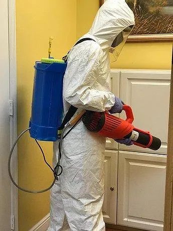 Disinfecting Electric Backpack Sprayer Machine