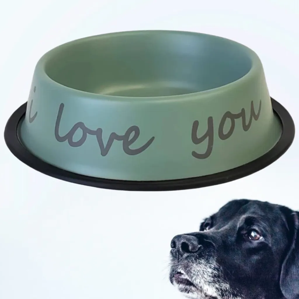 Dog Bowl - Matte Green