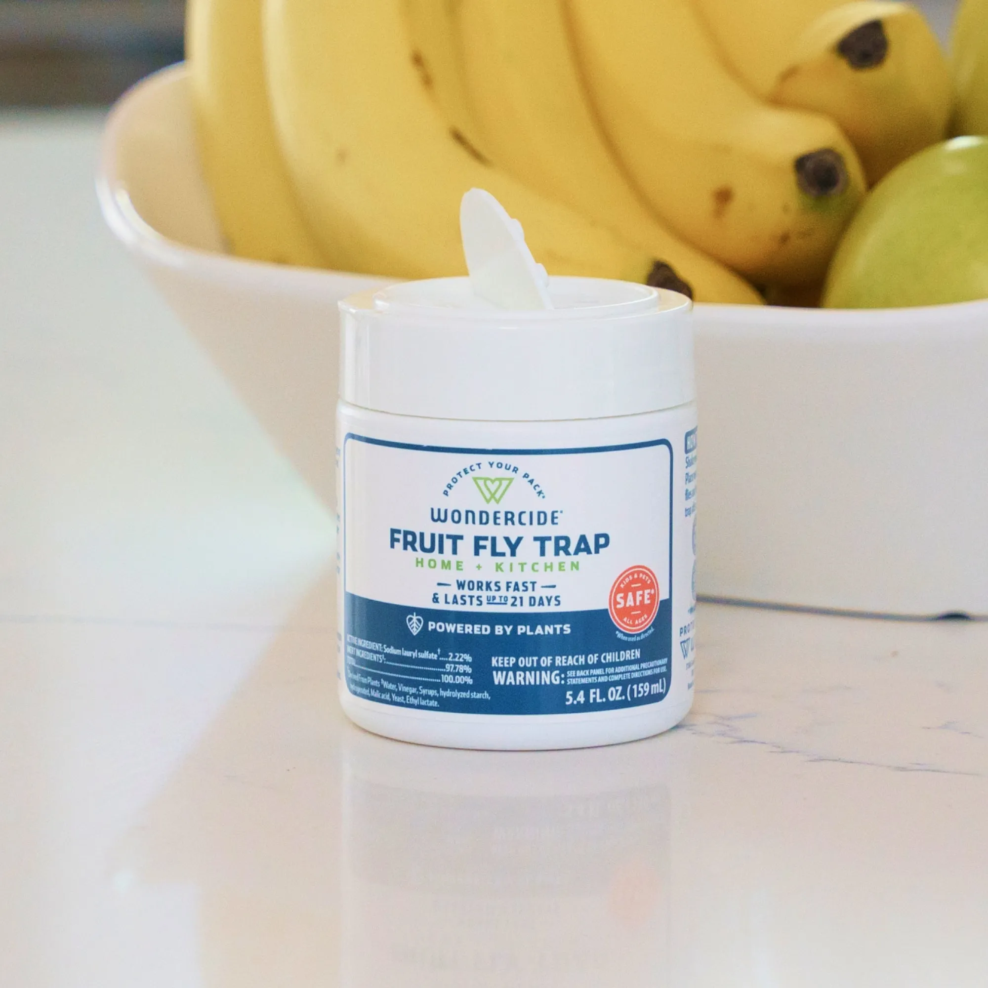 Fruit Fly Trap for Home   Kitchen