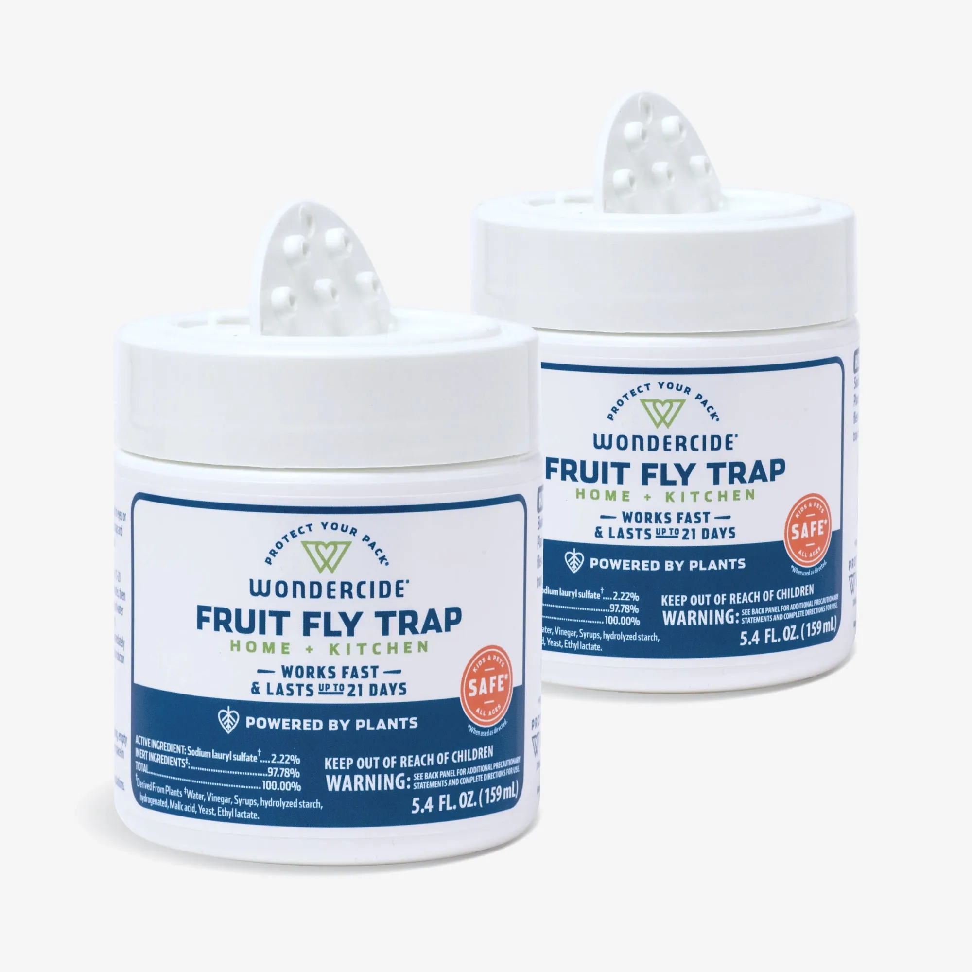 Fruit Fly Trap for Home   Kitchen