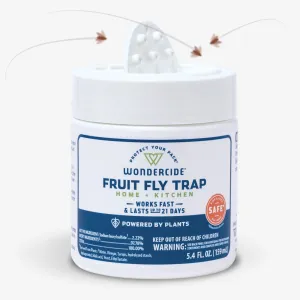 Fruit Fly Trap for Home   Kitchen