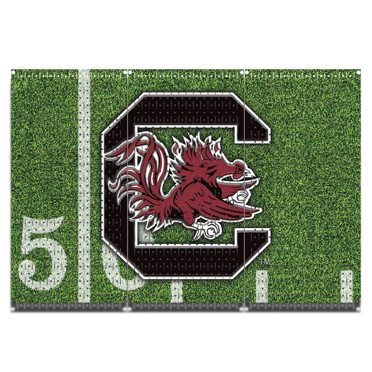 HWC13075 - South Carolina Gamecocks | (3 Panels) | 48" x 32" (tall) | Printed Pegboards | Collegiate
