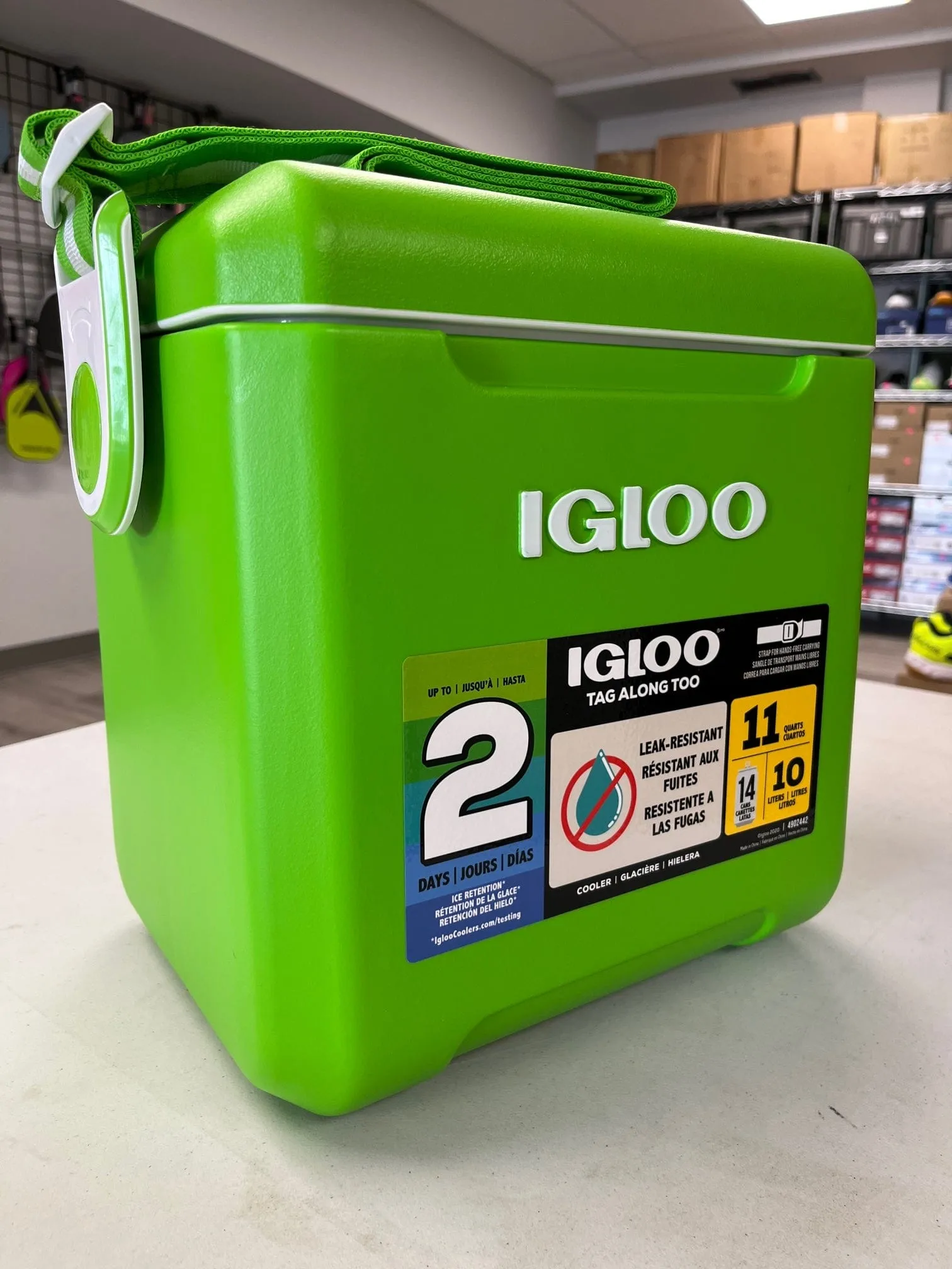 Igloo Tag Along Too Cooler