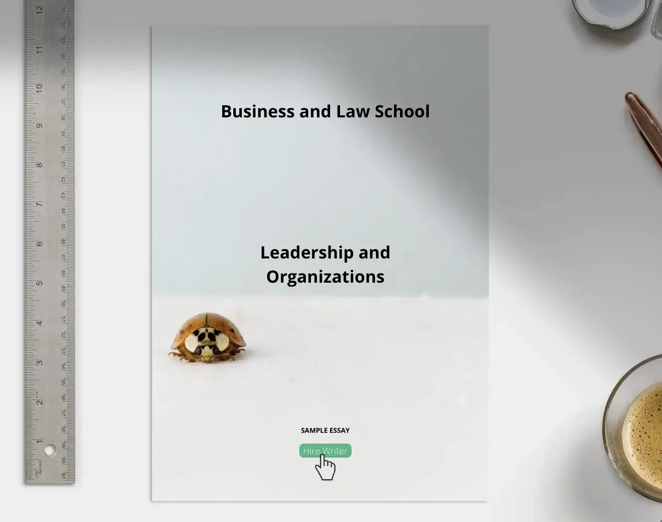 Leadership in Organizations Essay