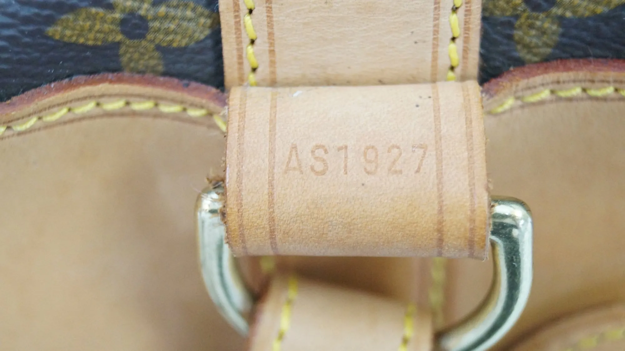 LOUIS VUITTON Monogram Canvas Randonnee PM Backpack Shoulder Bag