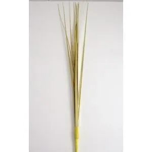 Onion Grass Mylar Spray
