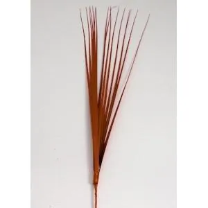 Onion Grass Mylar Spray