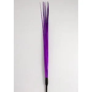 Onion Grass Mylar Spray