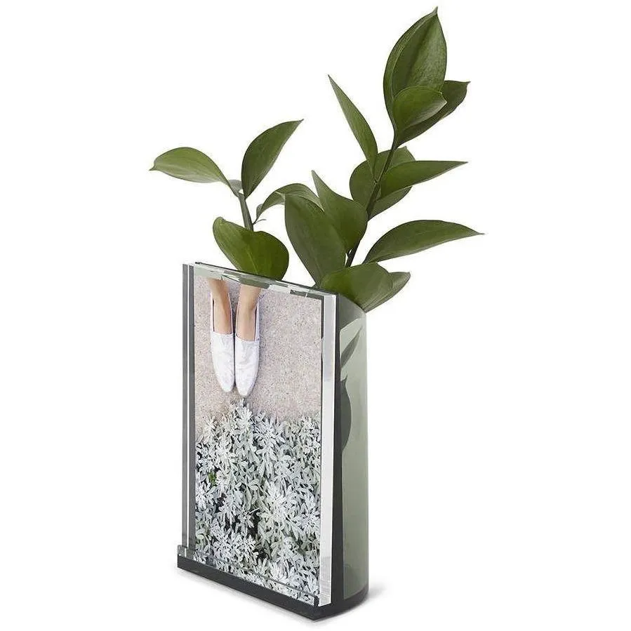 Optic Photo Display Spruce