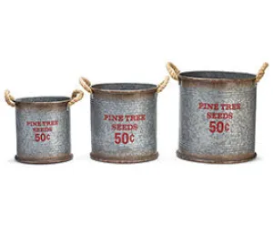Pine Tree Seeds Tin Bucket S