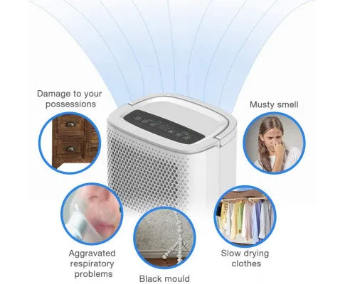 Shinco SDZ-10L Dehumidifier