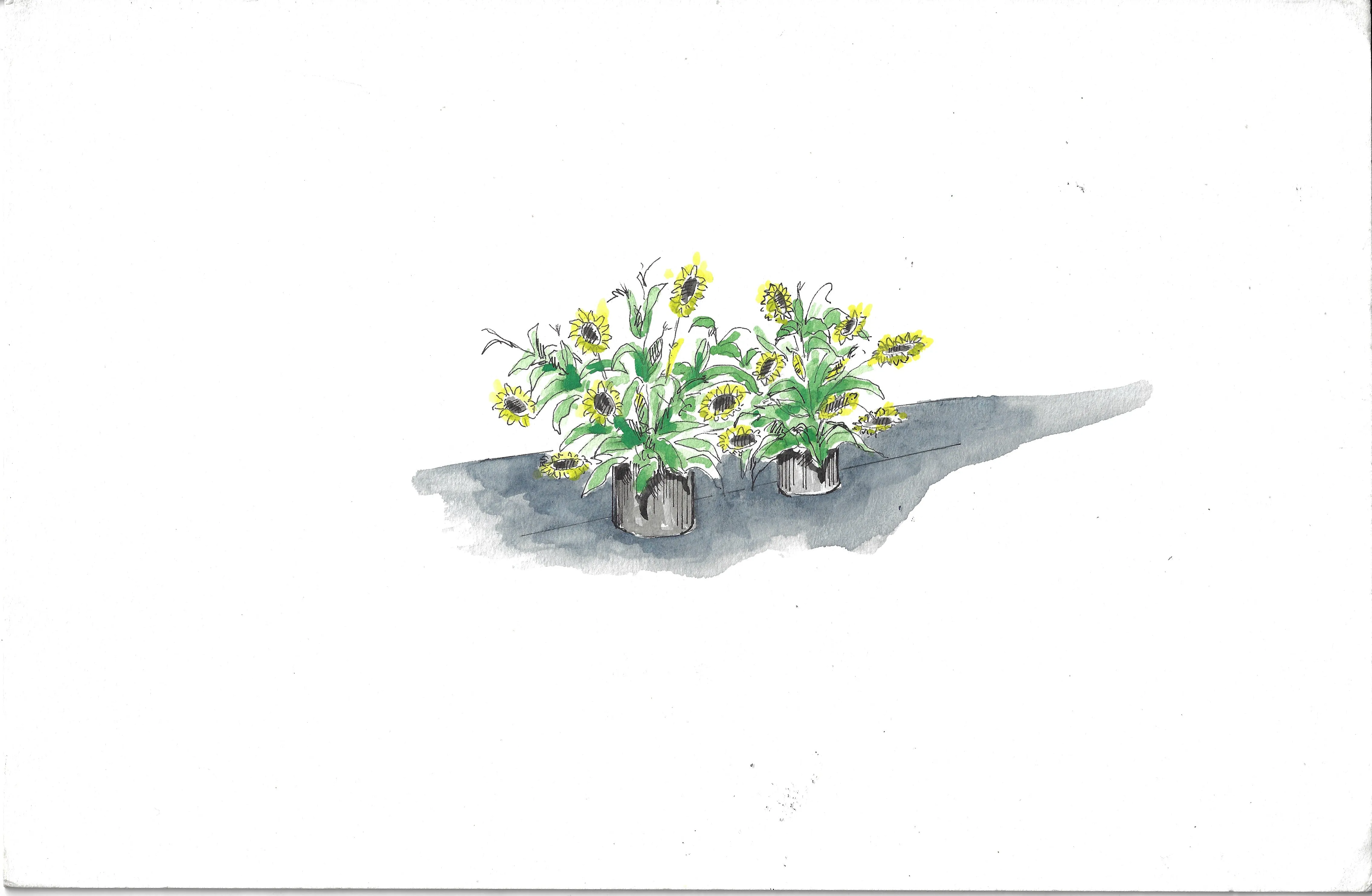 'Sunflower' Watercolor by Andrew Greenhut