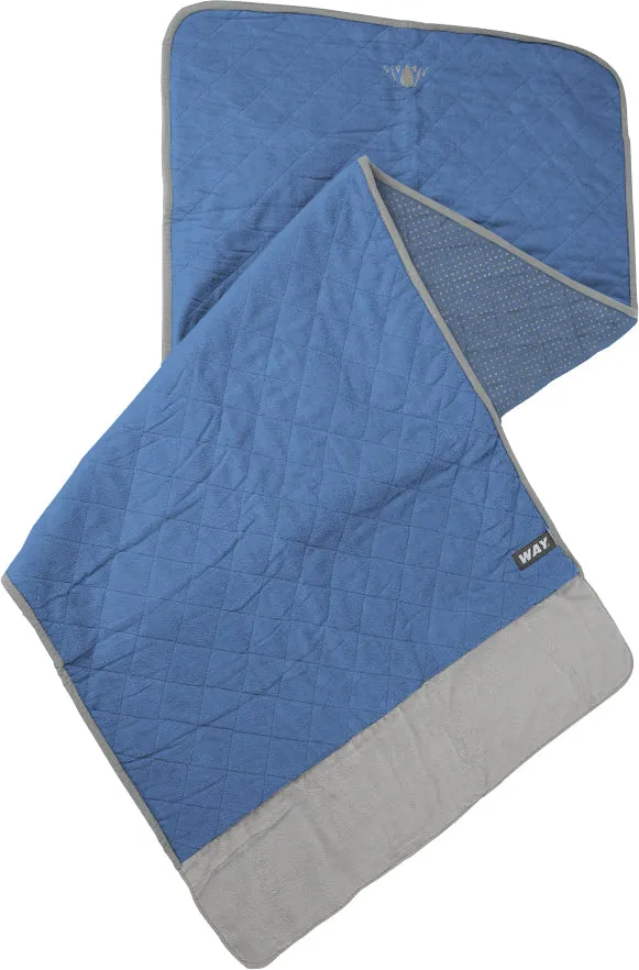 WAYmat-BLUE STEEL-TS