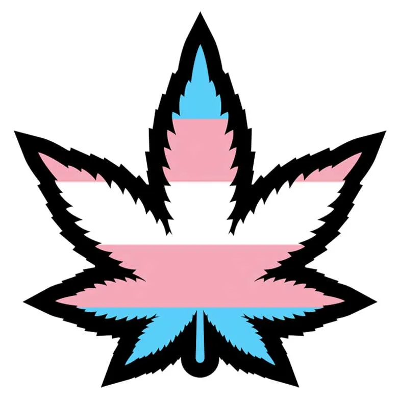 Wood Rocket Trans Pride Leaf Enamel Pin